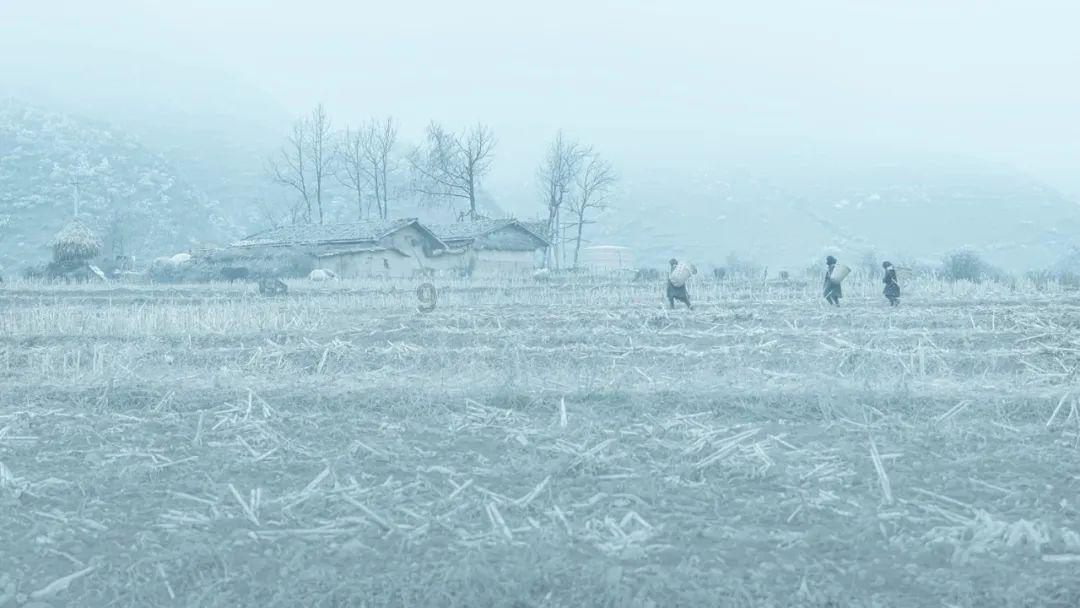 预防地中海贫血,向“零地贫”目标迈进